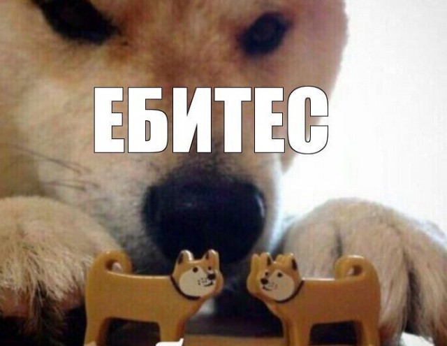 Картинки и мемы, выходные продолжаются