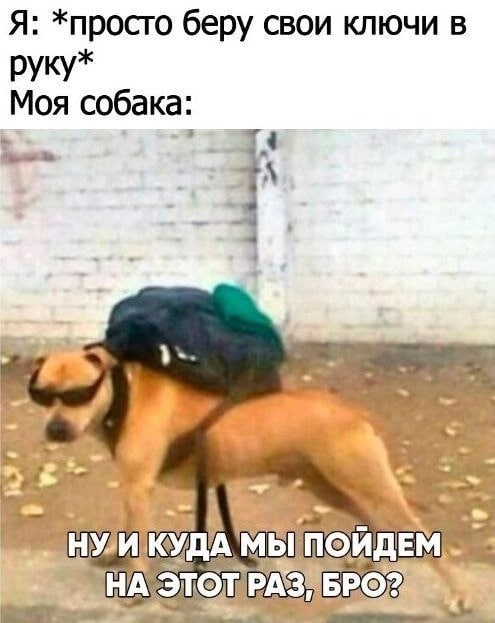 50 оттенков серого или самосвал баянов.  Vol.24. 54 штуки.