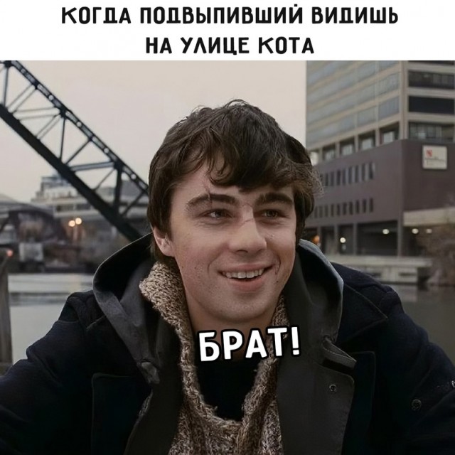 Картинки и мемы для настроения - 111