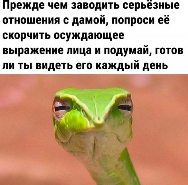 Картинки и мемы для настроения - 111