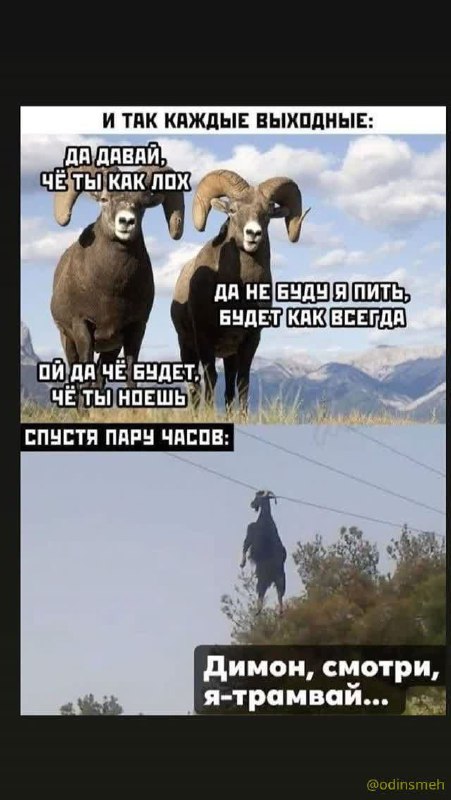 Картинки и мемы, всем хороших выходных