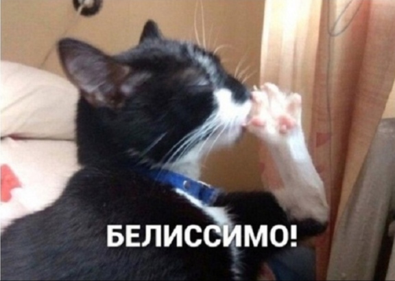 В поисках метра