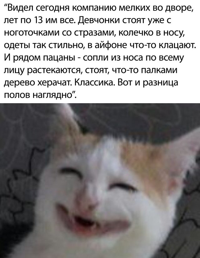 Забавные комментарии из социальных сетей 05.12.22