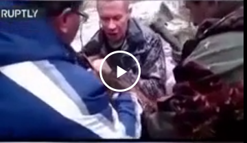 "Освободили мишутку"