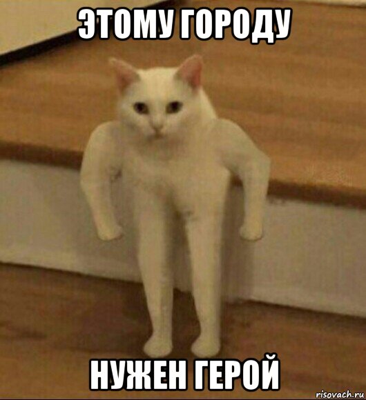 «По Бахмуту ездить легче»: Евгений Пригожин раскритиковал уборку петербургских улиц