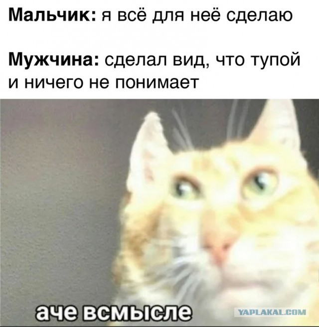 Весёлый полтишок 18.04.23
