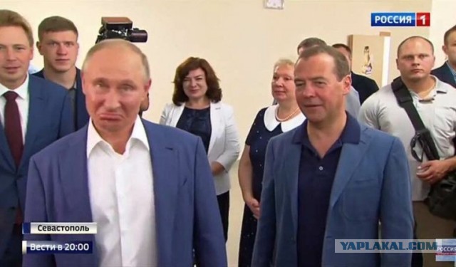 Крысы влипли