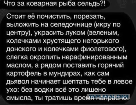Нуштош 11.09.2023
