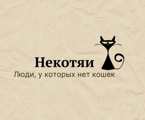 Жизнь домашнего приюта "Котоленд" 414