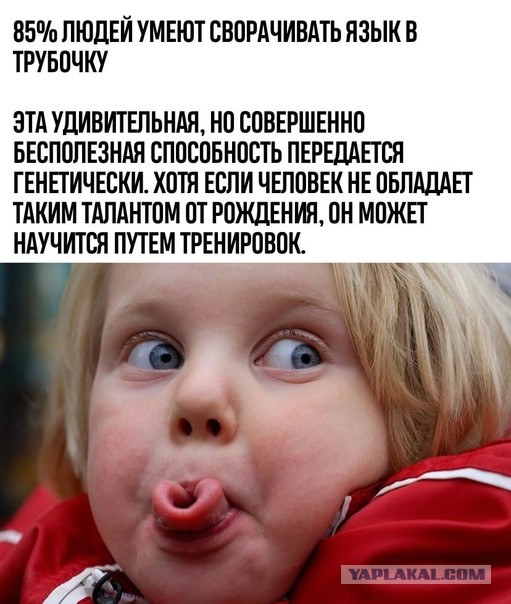 Моментальная карма настигла хамоватого боксёра
