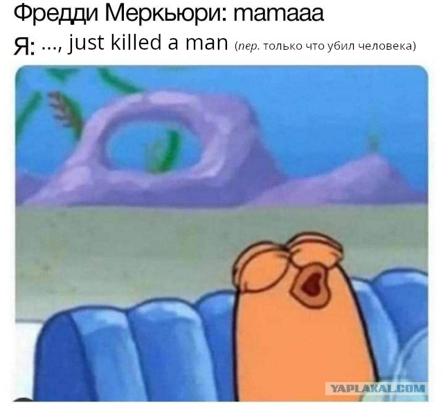Всего понемногу. От 22.07.24
