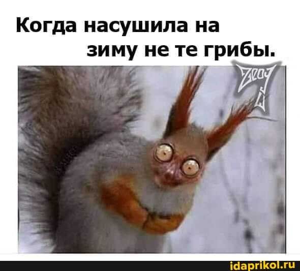 Прикольные и просто красивые картинки 10.12.2024