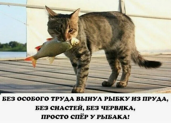 Вот так надо рыбу ловить!