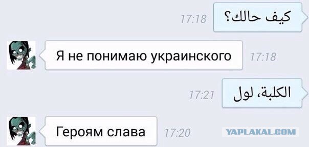 Внезапная соточка дичи