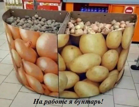 Веселое настроение в картинках (15.08.2025)