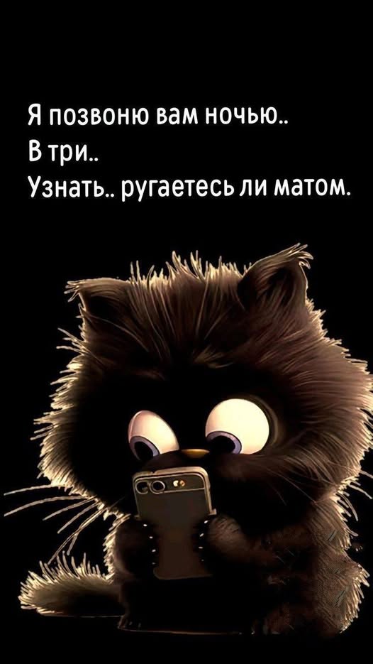 К котовторнику: подборка картинок-баянов с котиками и про котиков. Выпуск 24.