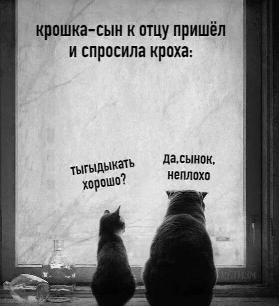 Картиночки, баянчики  06 декабря