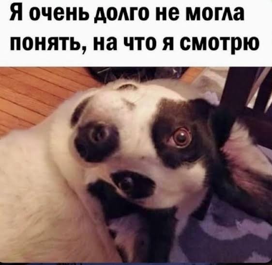Ты что такое, мать твою...