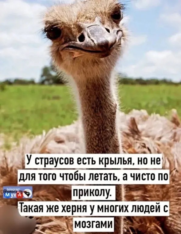 Маленькая пятница 11.02
