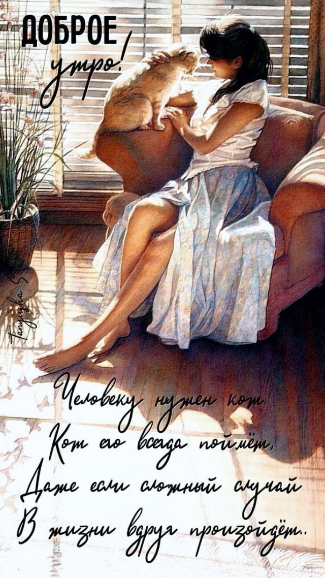К котовторнику: подборка картинок-баянов с котиками и про котиков. Выпуск 35.