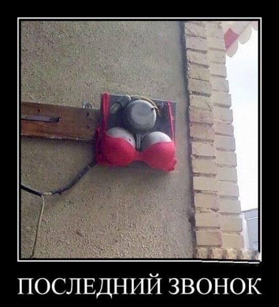 Веселые картинки в пятницу (17.04)