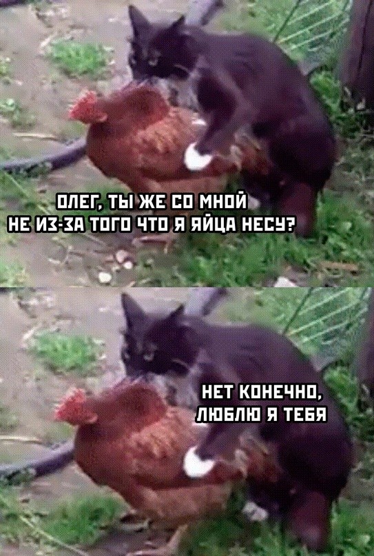 Доверили опять