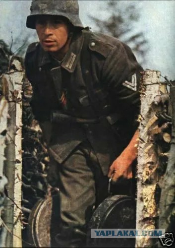 Июнь 1942-го. Агония 2 ударной армии Волховского фронта