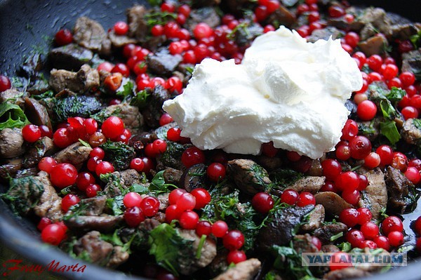 Пирог.. С мясом, брусникой и грибами, Тесто без заморочек