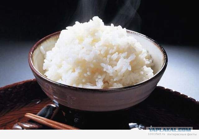 Интересные факты о японском рисе