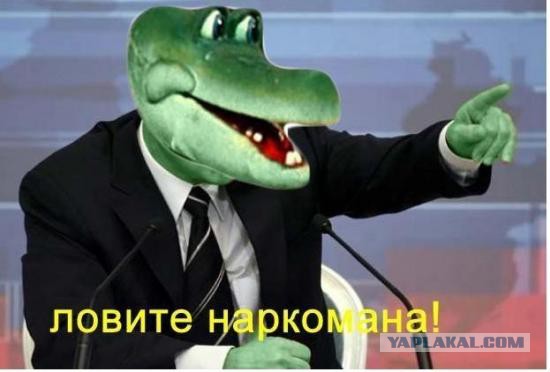 От такого дебила, можно ожидать все что угодно