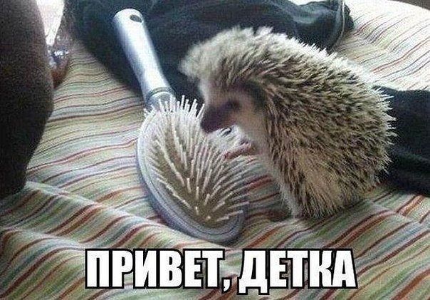 Капля позитива