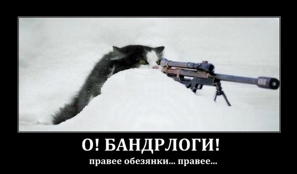 В Киеве начался митинг против новой власти