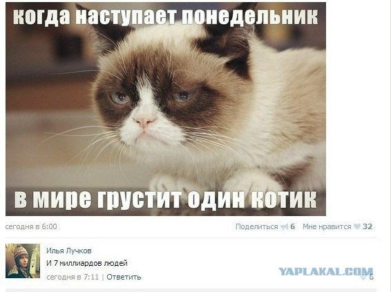 Комментарии из социальных сетей