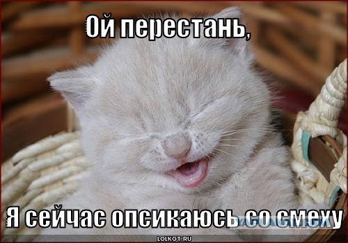 Куницын рассказал, как Порошенко вернет Крым