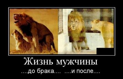 О девичьих обидах