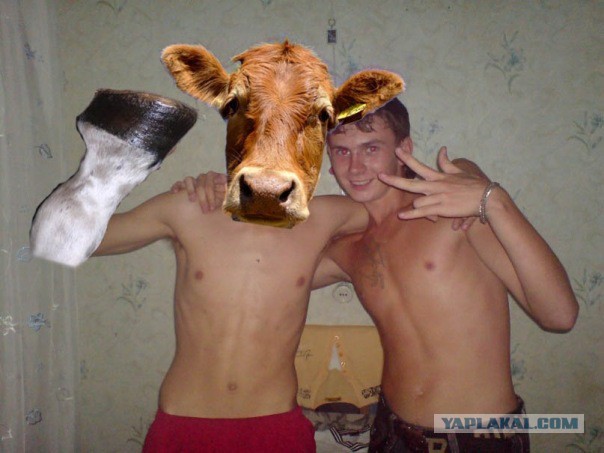 Свежий "Вестник социальных сетей"