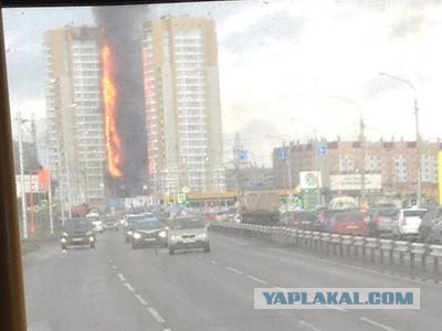 В текстурах застрял