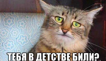 Ты не думай, ты верь