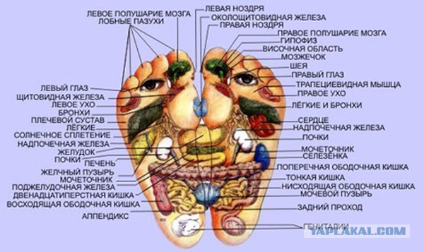 Исследую Хиромантию