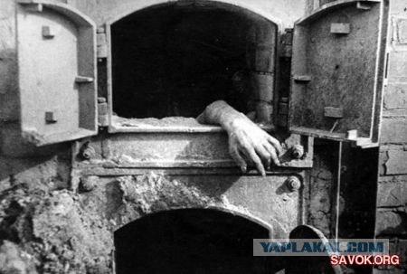 "Уроки патриотизма" в Латвии