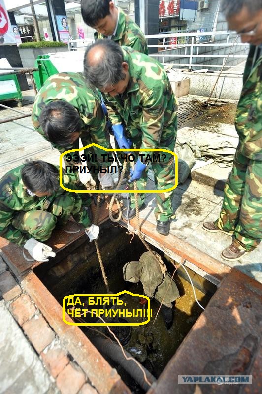 Канализационный колодец общественного туалета