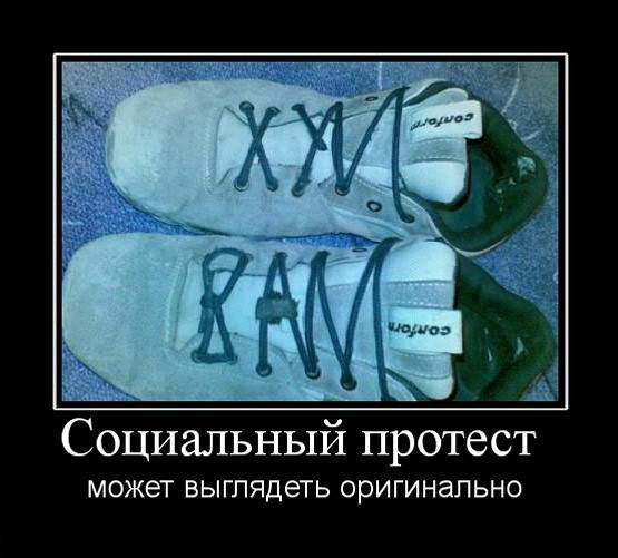 Прикольные картинки и демотиваторы
