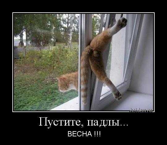 Демотиваторы на Субботу