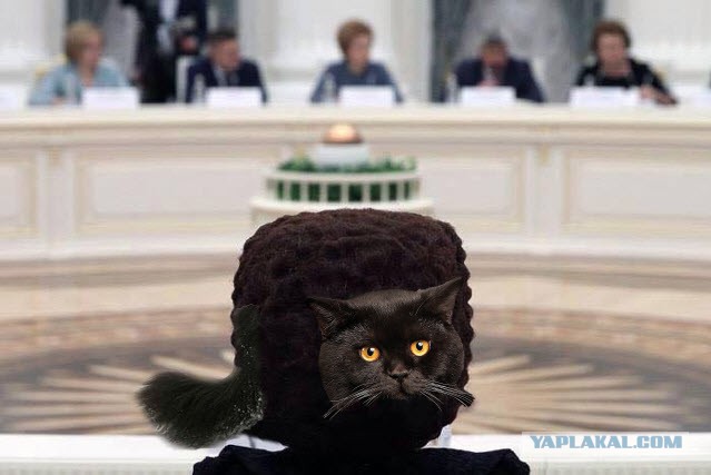 Фотожабы на кандибобер