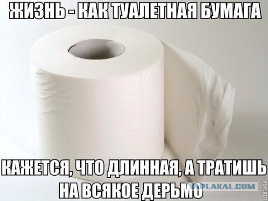 Забавные картинки из Сети