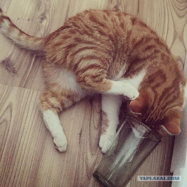 Утро 1 го января