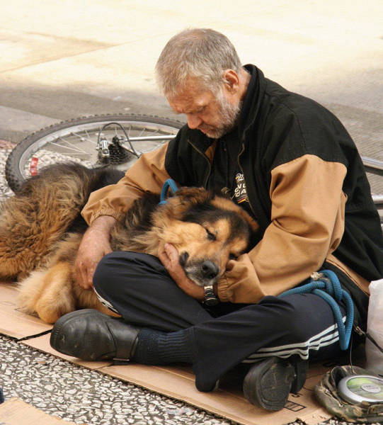 Собакам плевать на деньги, им нужна только любовь