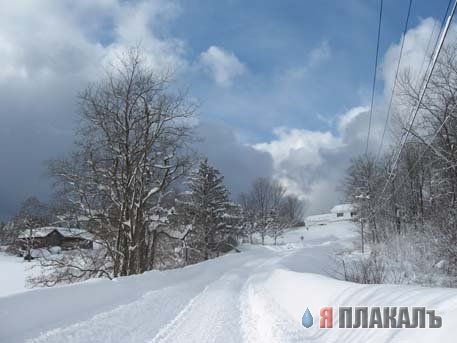 ЗИМА. Зимние картинки, отмороженная подборка