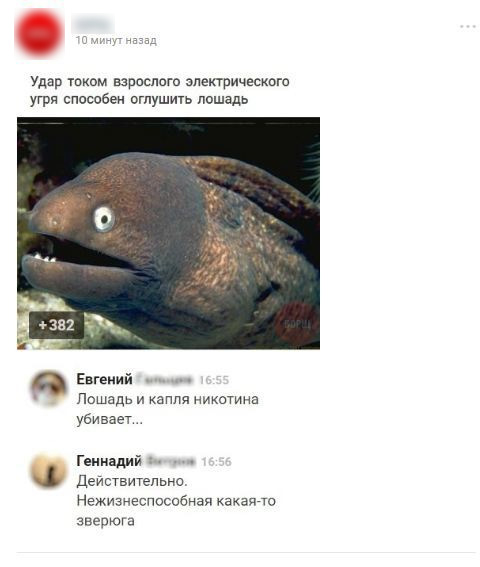 Смешные комментарии 28.08.2016