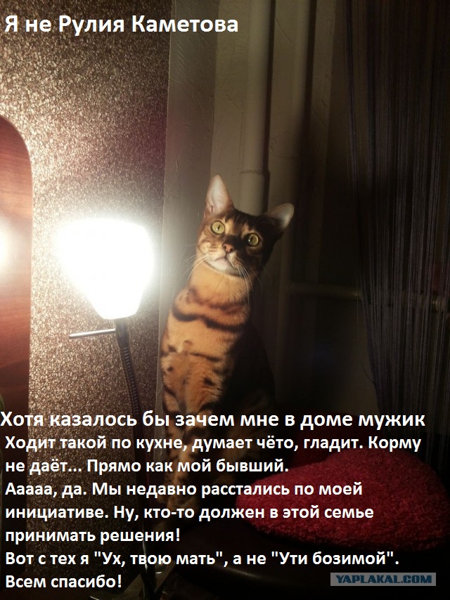 Настало время леденящих душу историй
